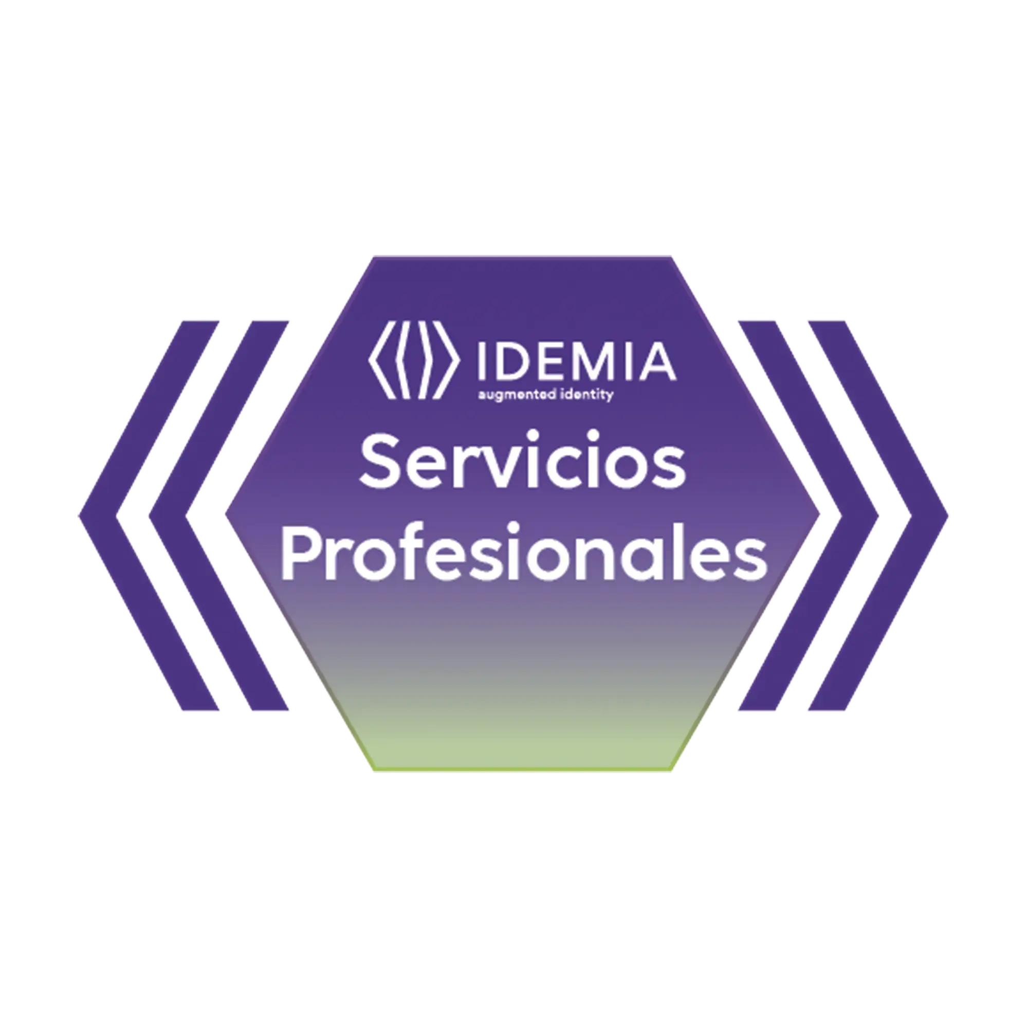 BCD SDK Integración básica 4 horas de soporte remoto