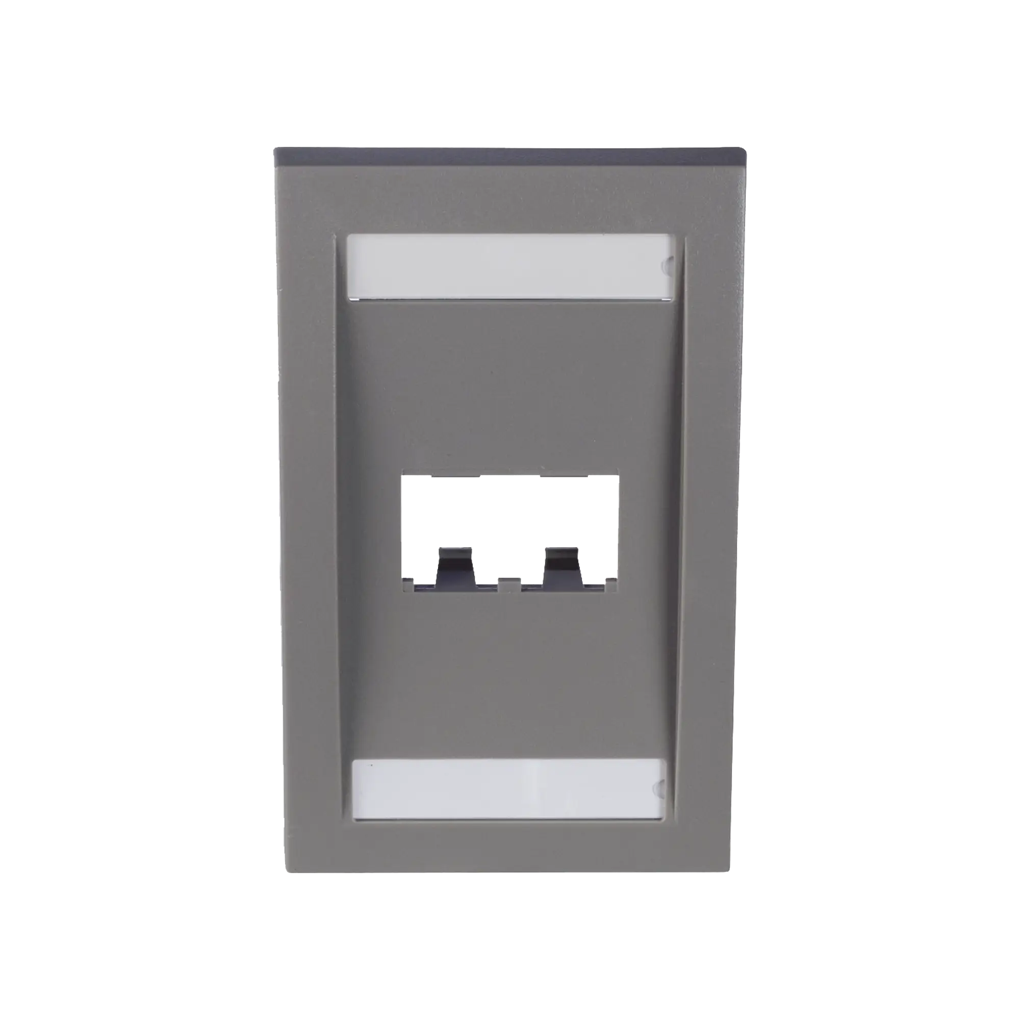 Placa de Pared Vertical Ejecutiva, Salida Para 2 Puertos Mini-Com, Con Espacios Para Etiquetas, Color Gris