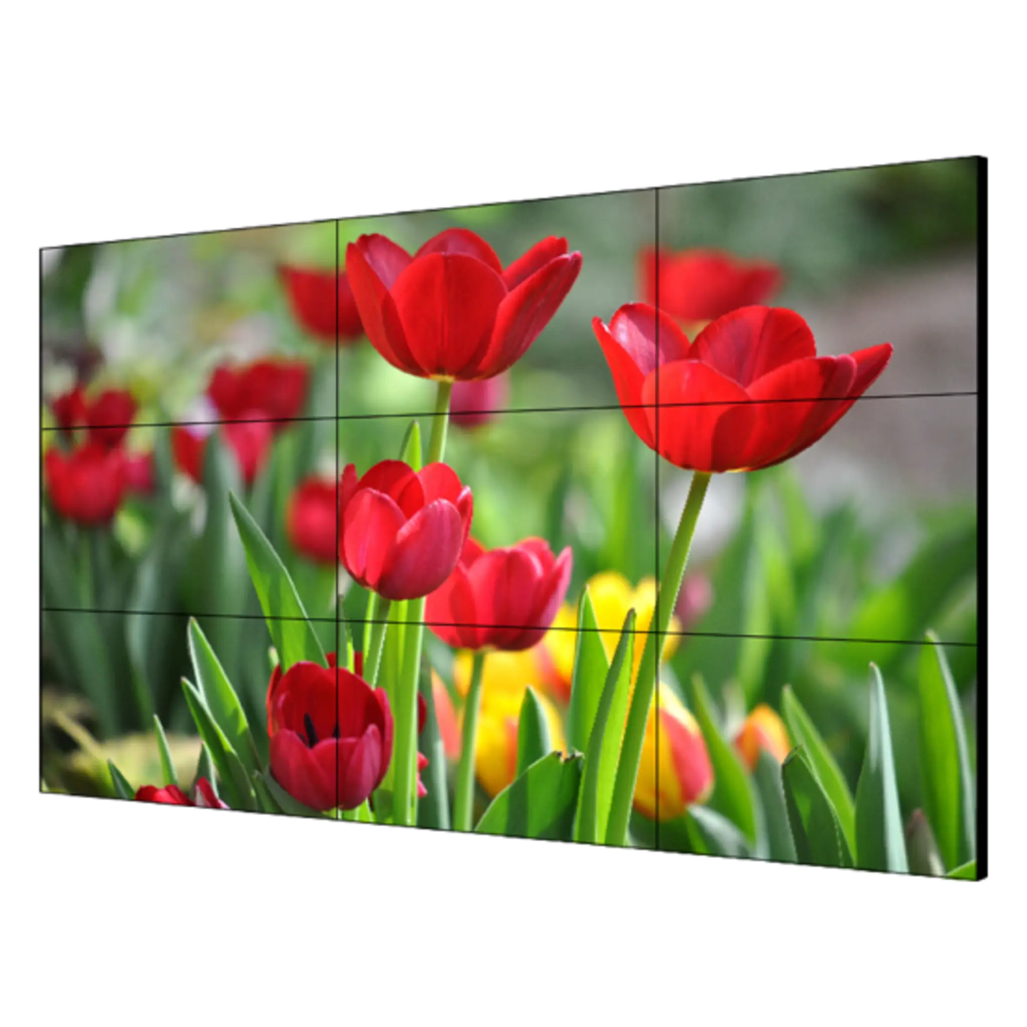 Pantalla LCD 55″ para Videowall / Entrada HDMI – VGA – DVI – DP / Monitor Robusto / Bisel Delgado (3.5 mm) / Daisy Chain (Conexion en Cadena sin Software)