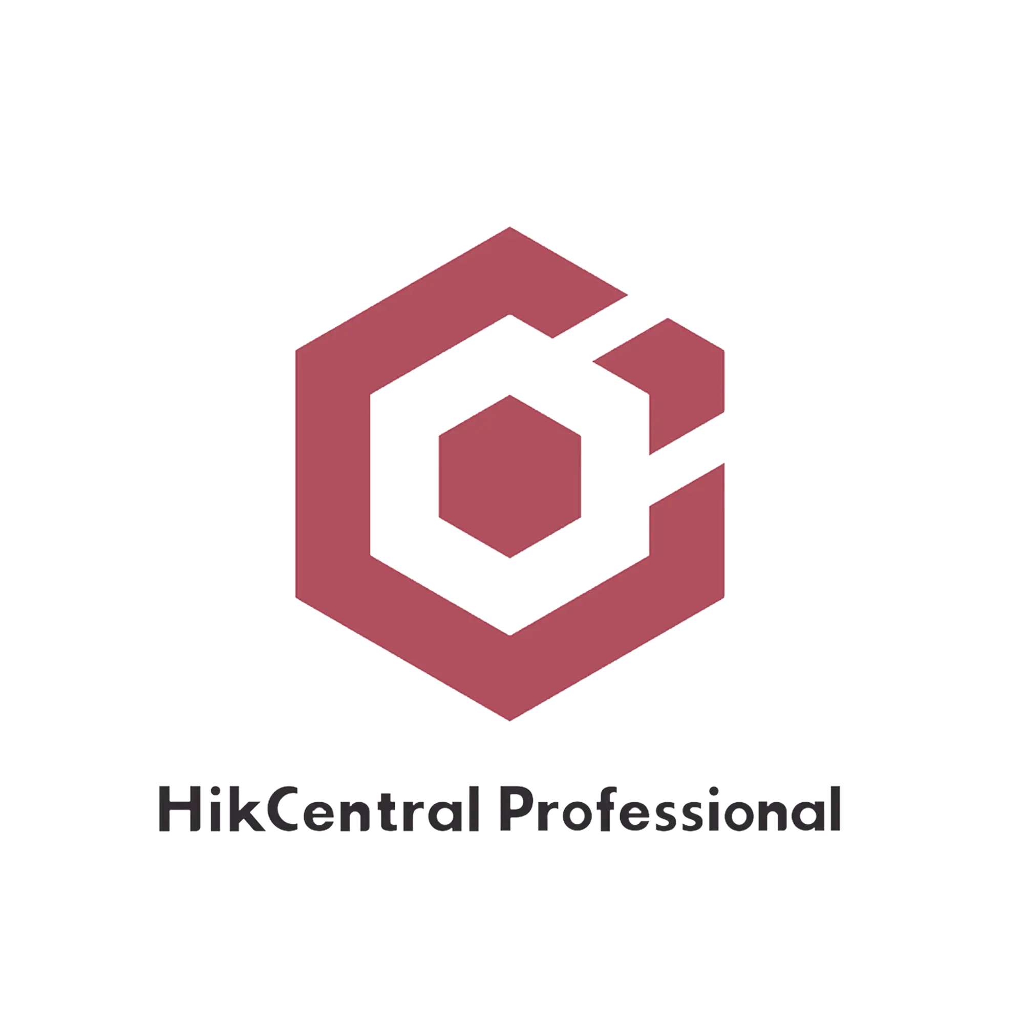 Hik-Central Professional / Licencia Añade 1 Carril (HikCentral-P-E&E-1Lane)