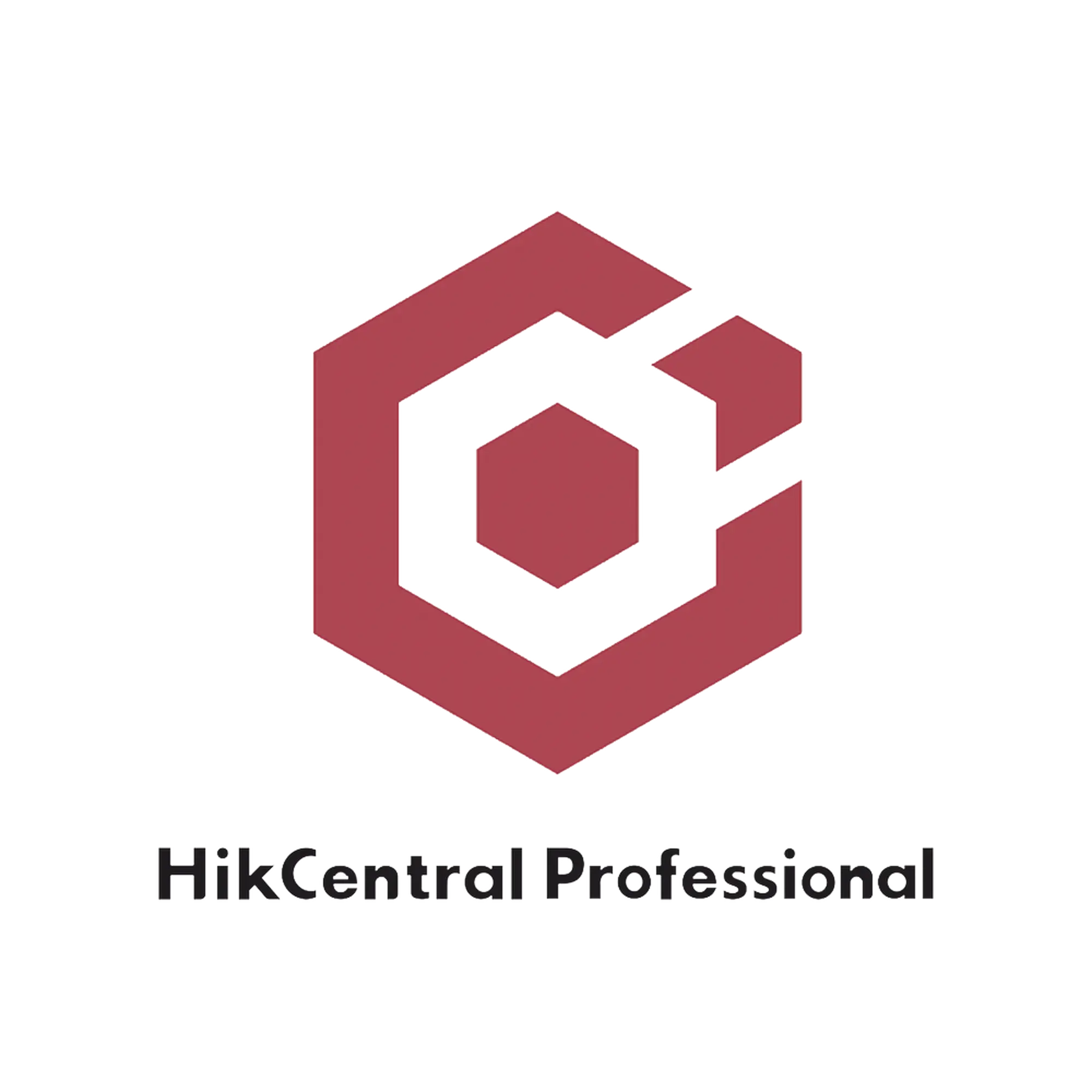 HikCentral Professional / Licencia Añade 1 Canal Adicional de Video Para HPP (HikCentral-P-VSS-1Ch/HPP)