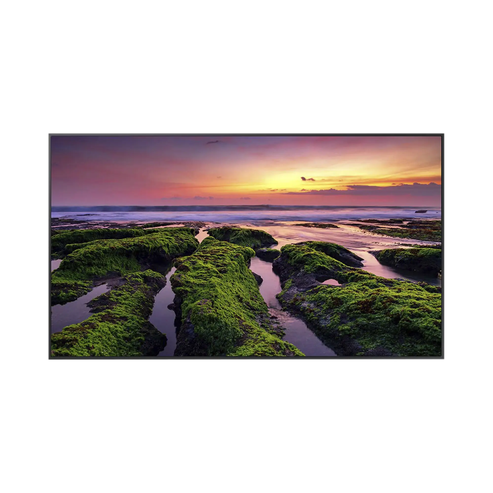 Pantalla Profesional LED de 75″, UHD 4K (3840x2160p), Entradas de Video HDM, Bocinas Integradas de 10 W. Compatible VESA / compatible con Magic Info