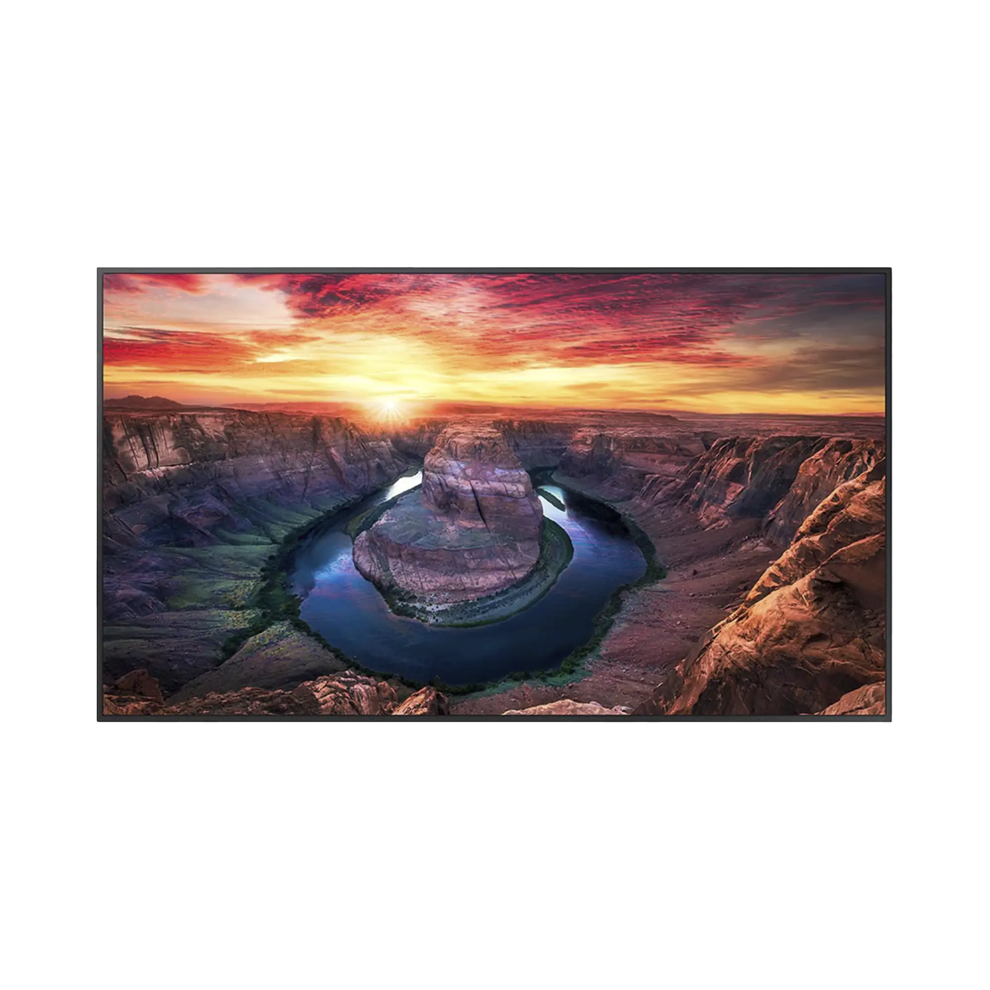 Pantalla Profesional LED de 65″, UHD 4K (3840x2160p), Entradas de Video HDMI/DisplayPort, Bocinas Integradas de 10 W. Compatible VESA. Modo de Simulación DICOM