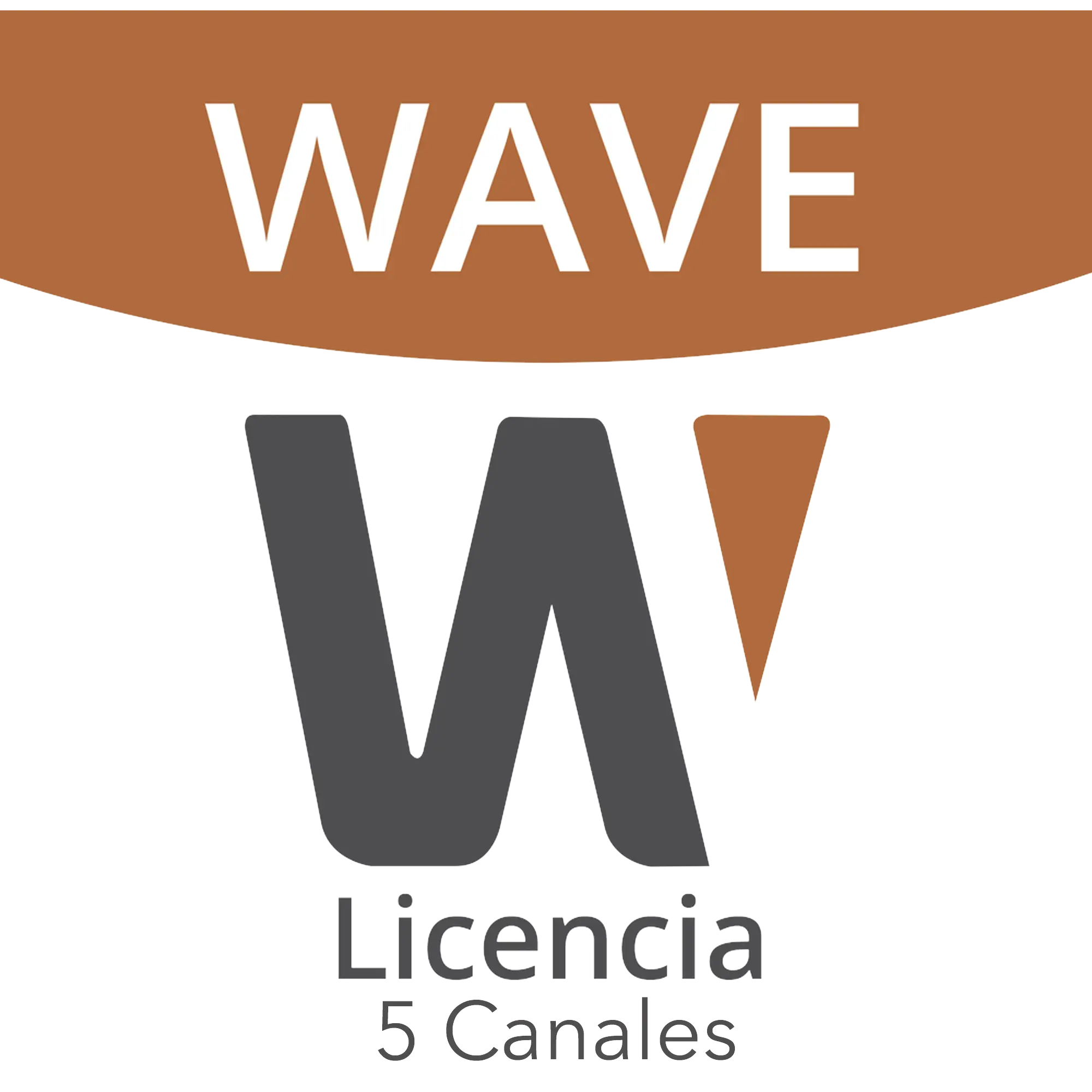 Licencia de 5 Canales de Wisenet Wave Profesional