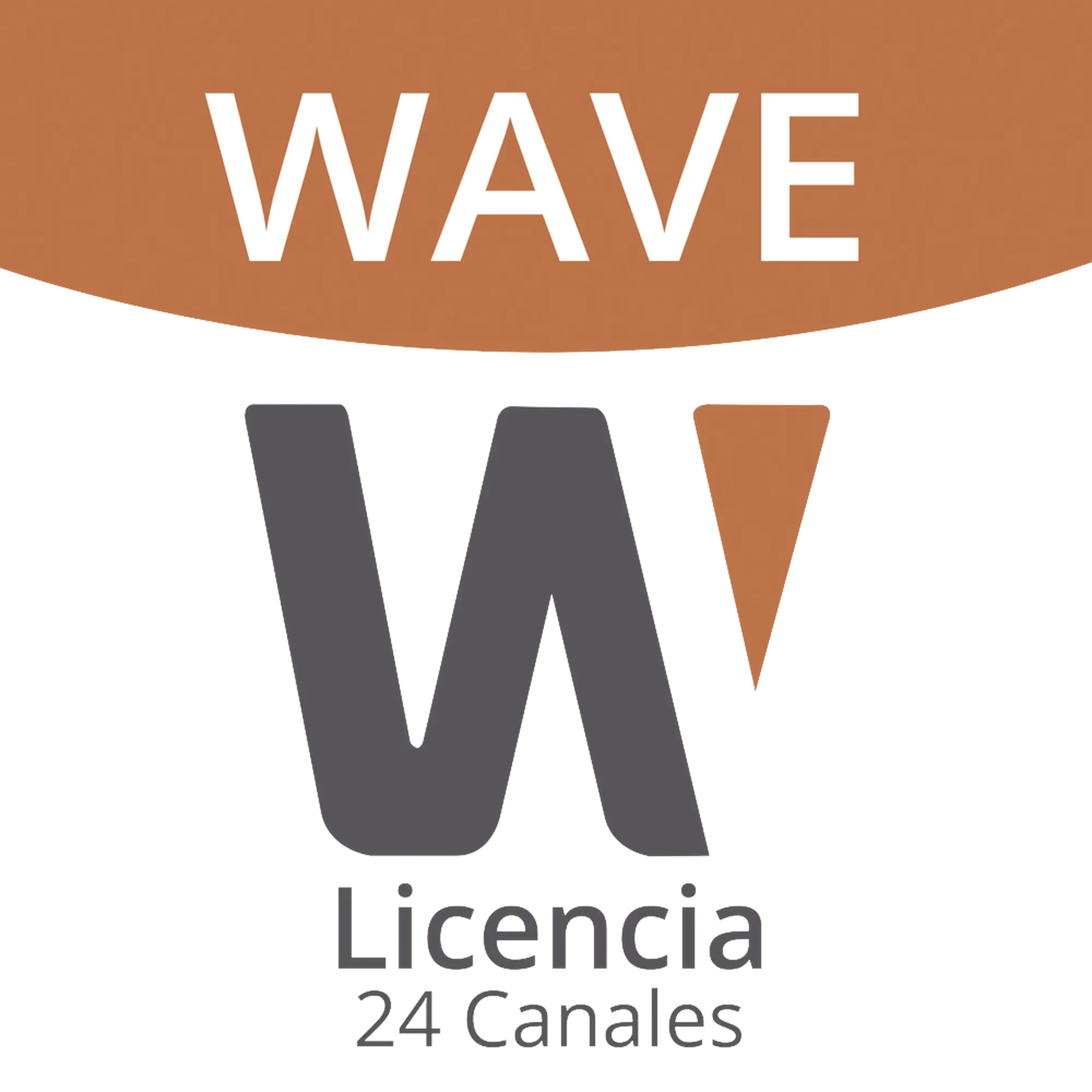 Licencia de 24 Canales de Grabación Wisenet Wave Profesional