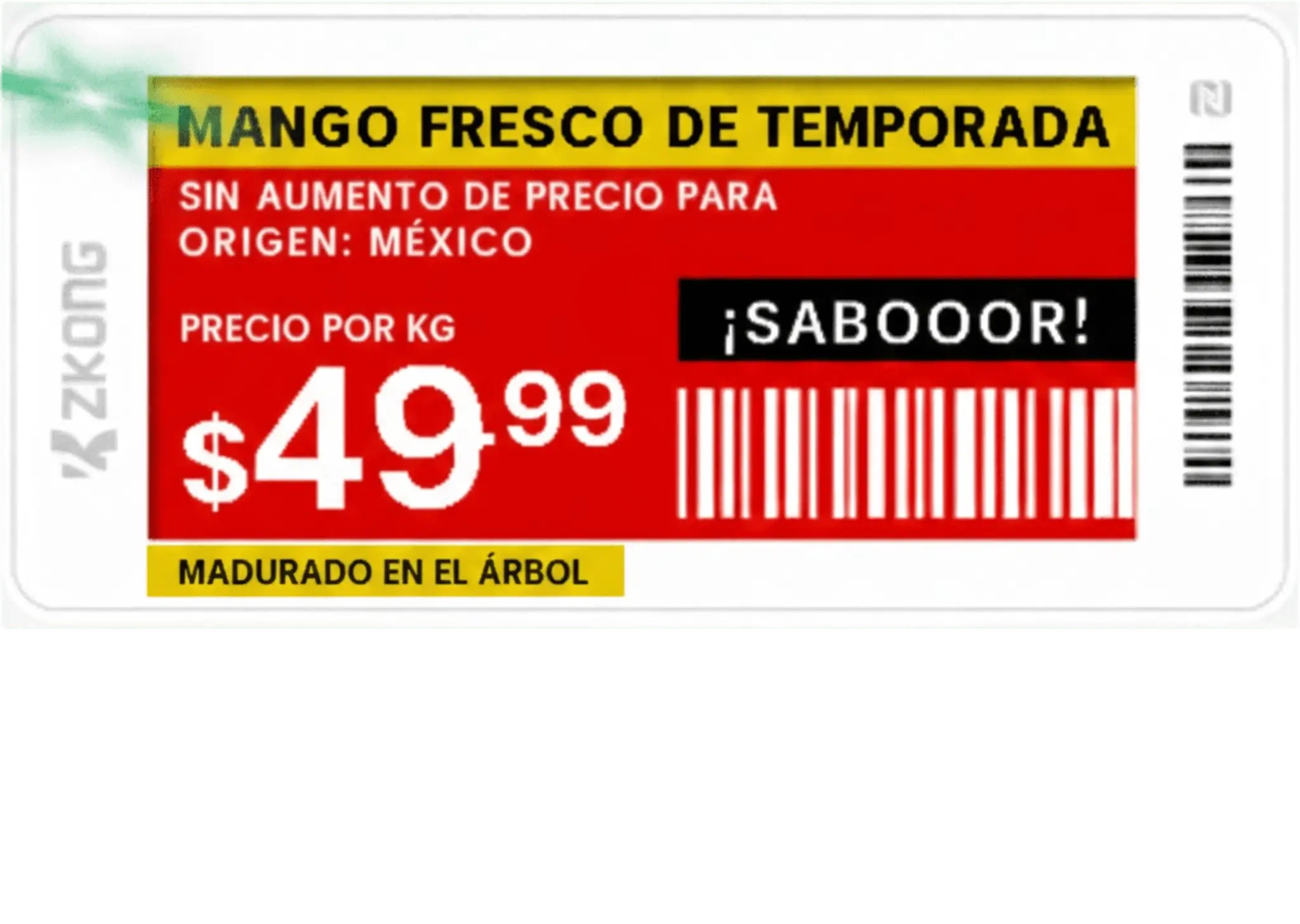 Etiqueta de Estantería Electrónica ESL ZKE21B / Pantalla EPD 2.13 Pulgadas / Resolución 122×250 Píxeles / 4 Colores (Negro Blanco Rojo Amarillo) / BLE 5.0 con Encriptación AES-128 / Batería 5 Años / NFC / C